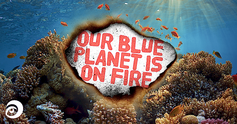 This is an ocean and climate emergency