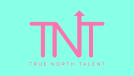 TNT logo - teal